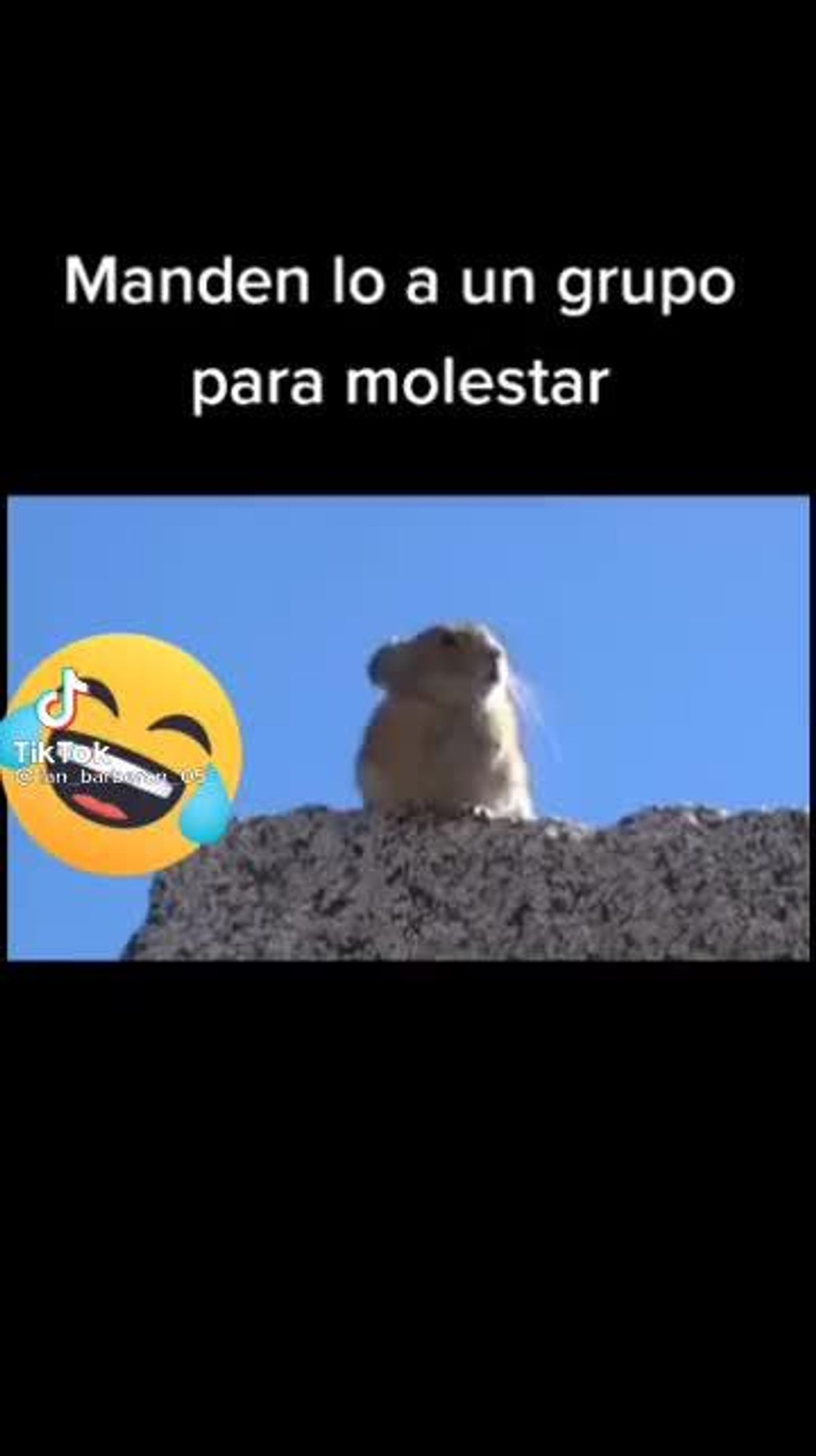 some random tiktok test